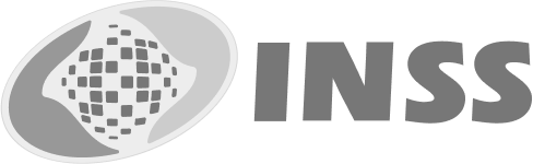 INSS logo